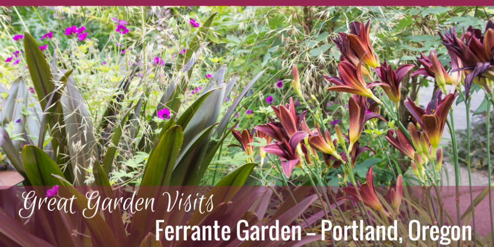 Profile: The Ferrante Garden in North Portland, Oregon